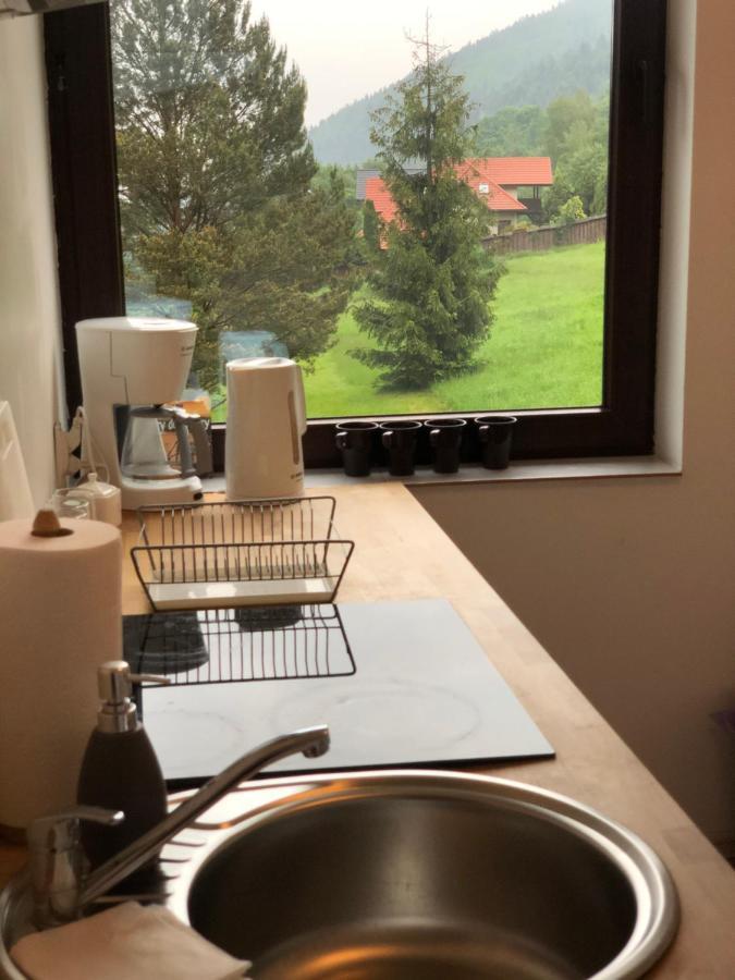 Alloggio in famiglia Poncyljuszowka